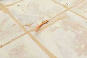 Removing grout excess Removing grout excess