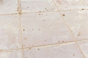 Floor tiles Floor tiles